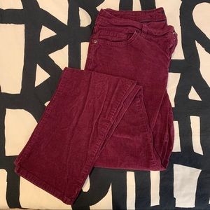Tommy Corduroy pants